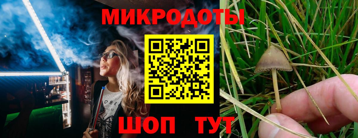 Мурино  Галлюциногенные грибы Magic Shrooms  Вход с VPN 