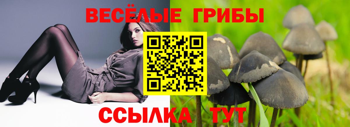 Псилоцибиновые грибы мухоморы Мурино