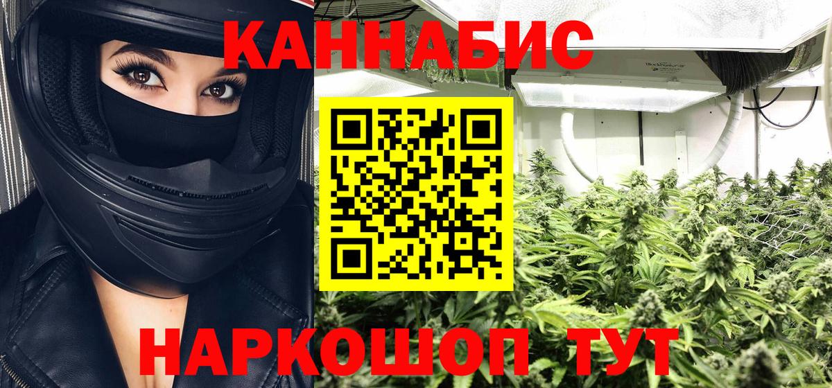 Канабис гибрид  Бошки марихуана сатива  Шишки марихуана конопля  Вход с VPN  Мурино 